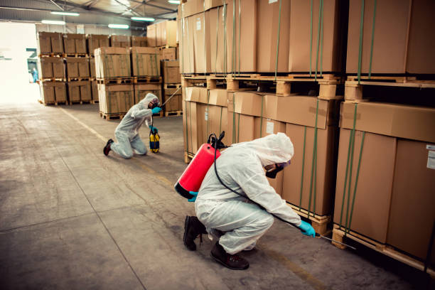 Best Commercial Pest Control Services  in Cumberland, MD
