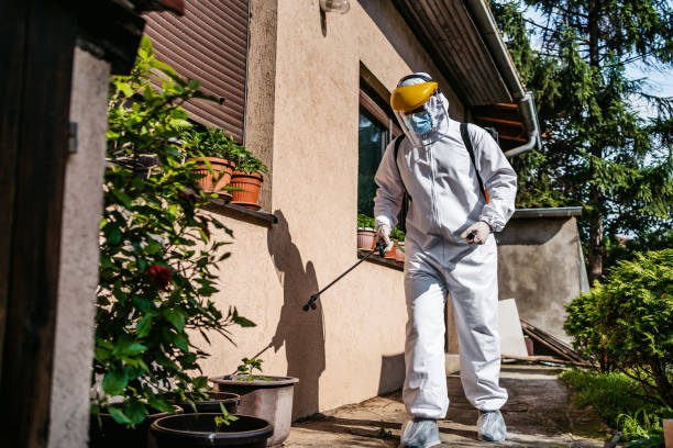 Cumberland, MD Pest Control Company