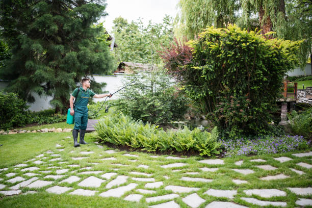 Best Best Pest Control Companies  in Cumberland, MD