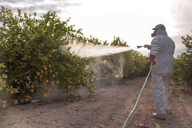 Best Pest Removal Services  in Cumberland, MD